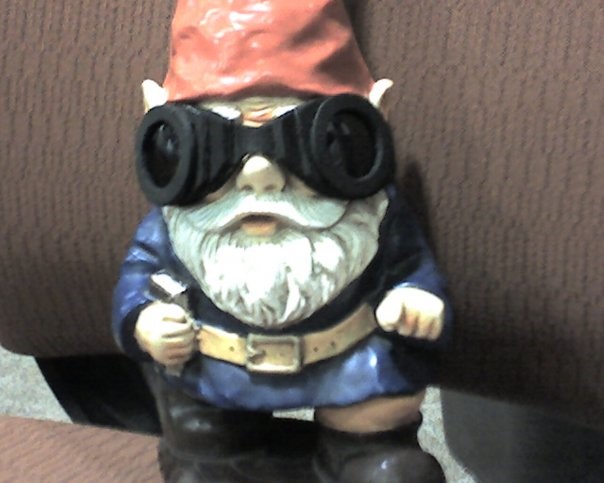 Download The Official Authorized Biography Of The Library Gnome Coates Library