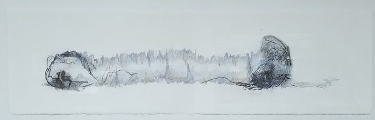 The Edwards, Xerox transfer, graphite, watercolor on rag