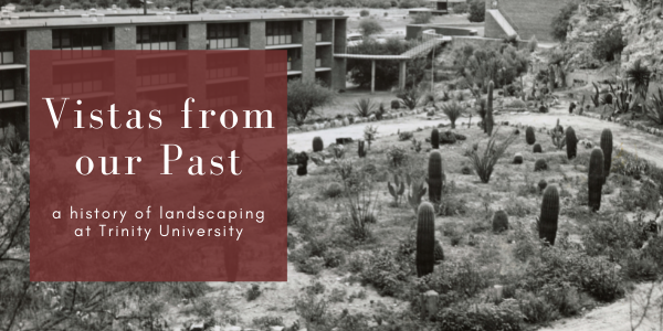 Vistas from our Past: a History of Landscaping at Trinity University