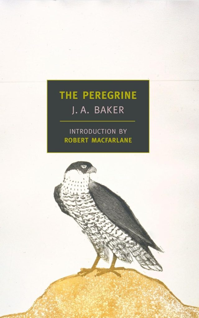 The peregrine / by J.A. Baker ; introduction by Robert Macfarlane.