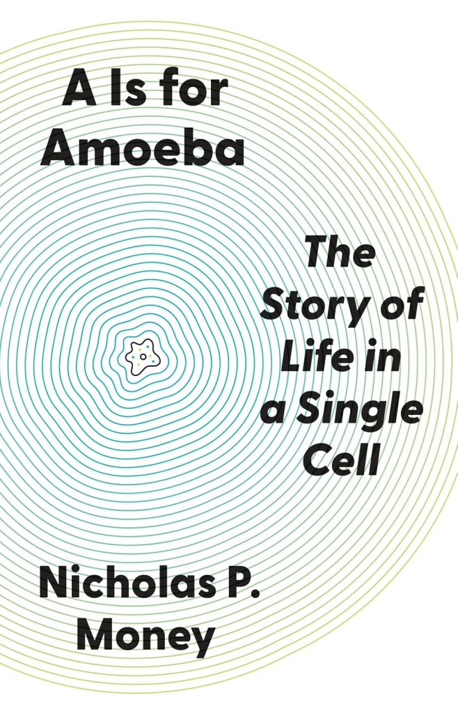 A Is for Amoeba: The Story of Life in a Single Cell / Nicholas P. Money